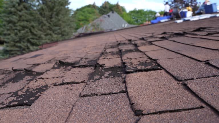 Best Cold Roofs  in Brewer, ME